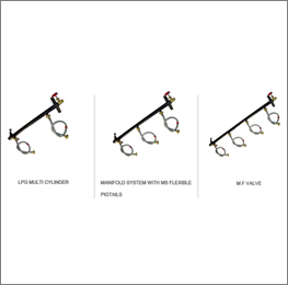 LPG Multi Cylinder Manifold System with MS Flexible Pigtails and MF Valve